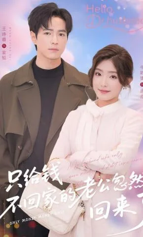 只给钱不回家的老公忽然回来了海报