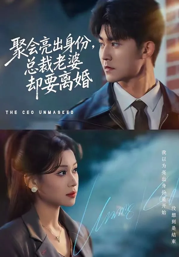 聚会亮出身份，总裁老婆却要离婚海报