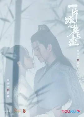 一片冰心在玉壶海报