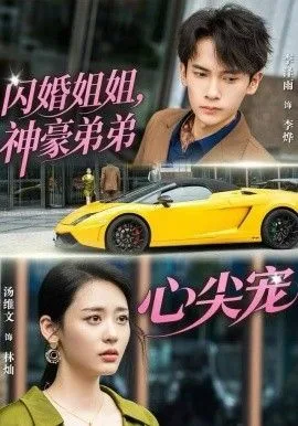 闪婚姐姐，神豪弟弟心尖宠海报