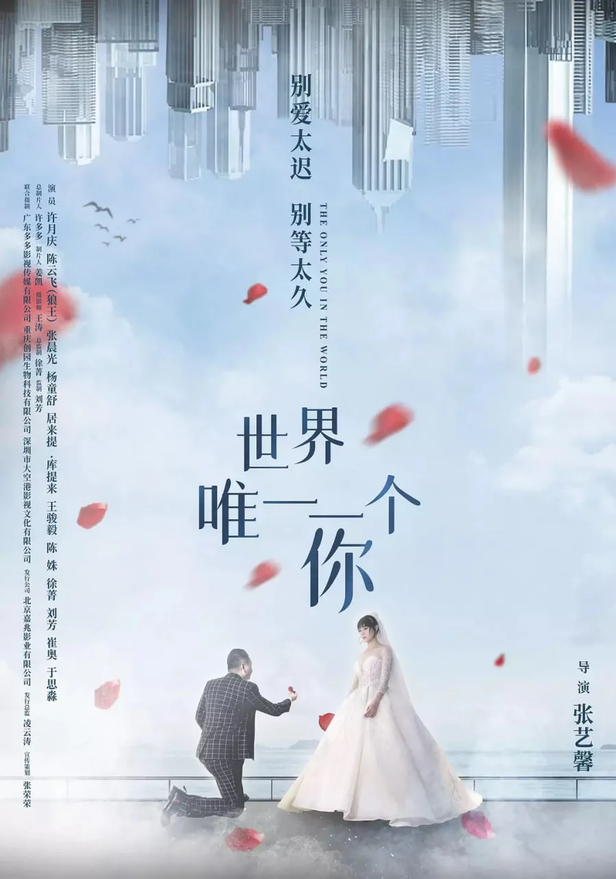 世界唯一一个你海报