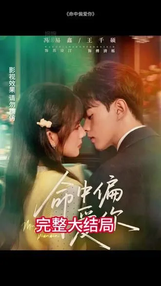 命中偏爱你海报