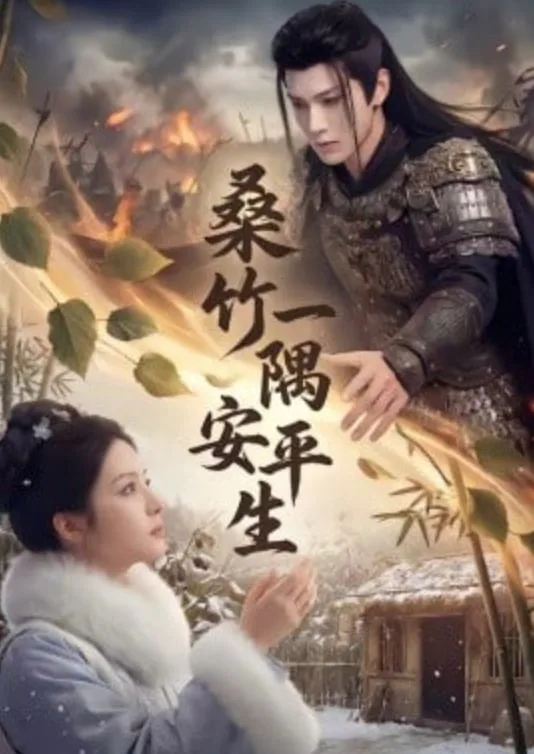 桑竹一隅安平生海报