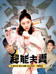 超能夫妻海报