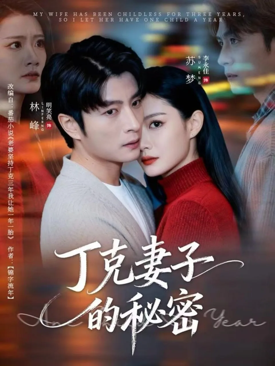 丁克妻子的秘密海报