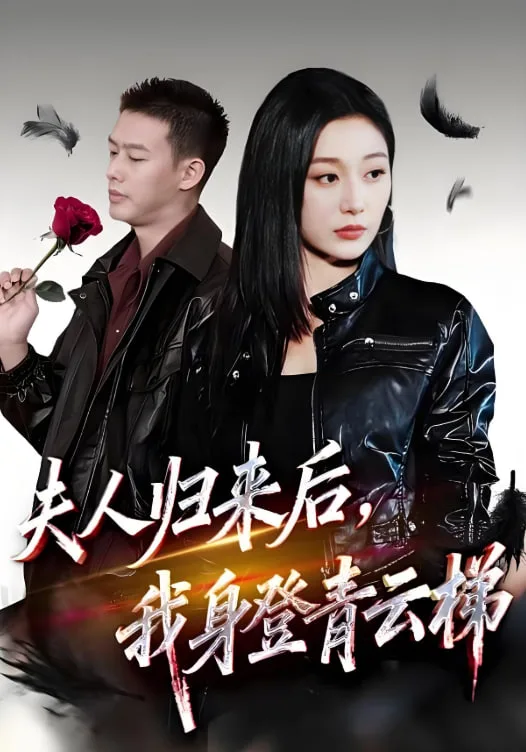 夫人归来后我身登青云梯（夫人助我踏巅峰）海报