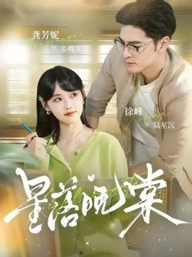 星落晚棠海报