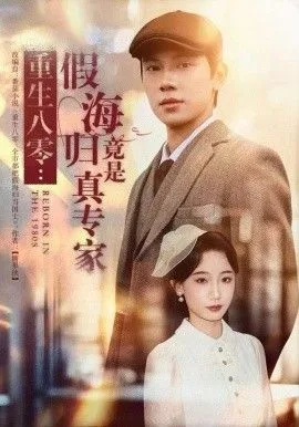 重生八零：假海归竟是真专家海报