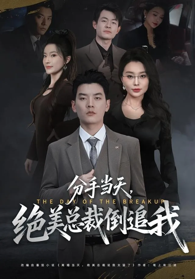 分手当天，绝美总裁倒追我海报