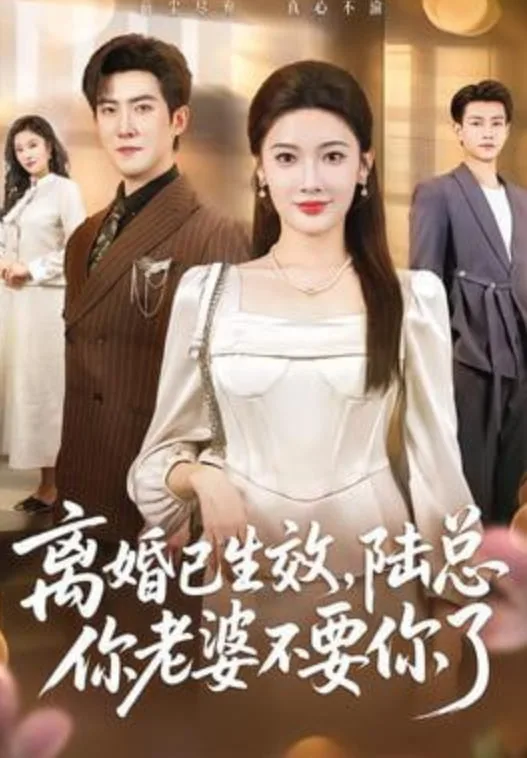 离婚已生效，陆总你老婆不要你了海报