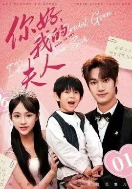 顾总，我才是你的夫人（你好，我的夫人）海报