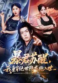 暴君苏醒，我身穿绝世隐龙袍入世海报