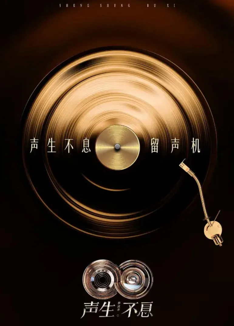 声生不息·华流季海报