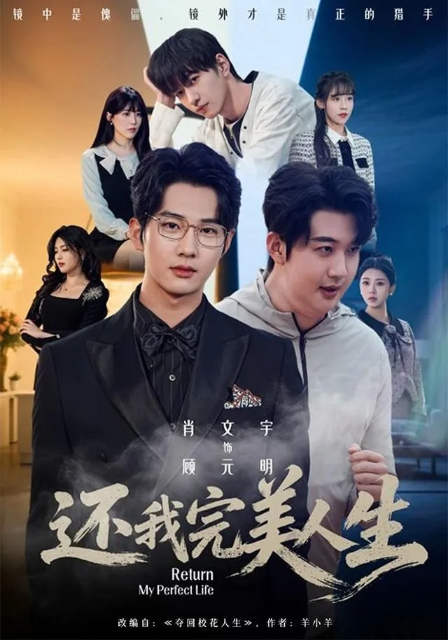 还我完美人生海报