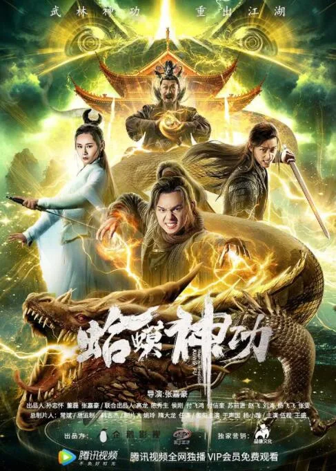 蛤蟆神功海报