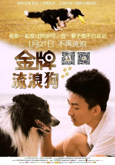 金牌流浪狗海报
