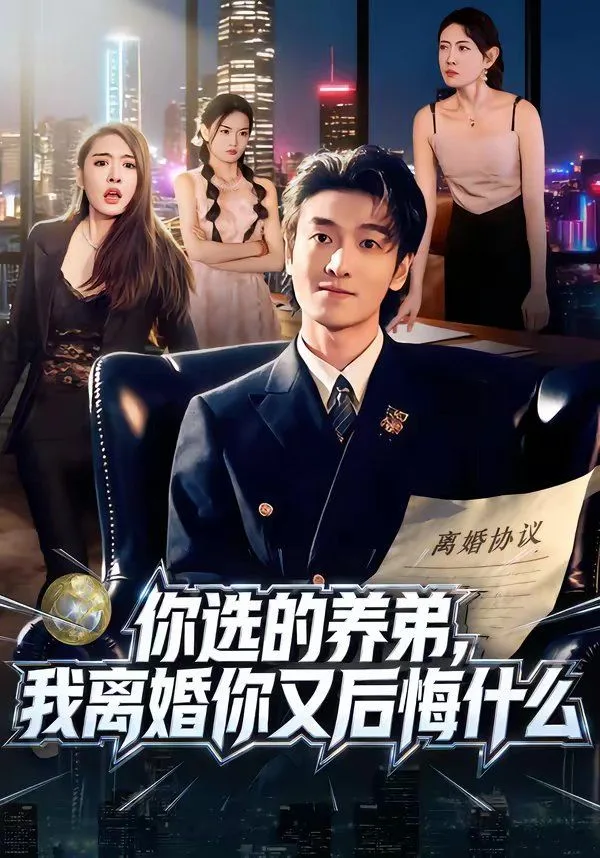 你选的养弟，我离婚你又后悔什么海报