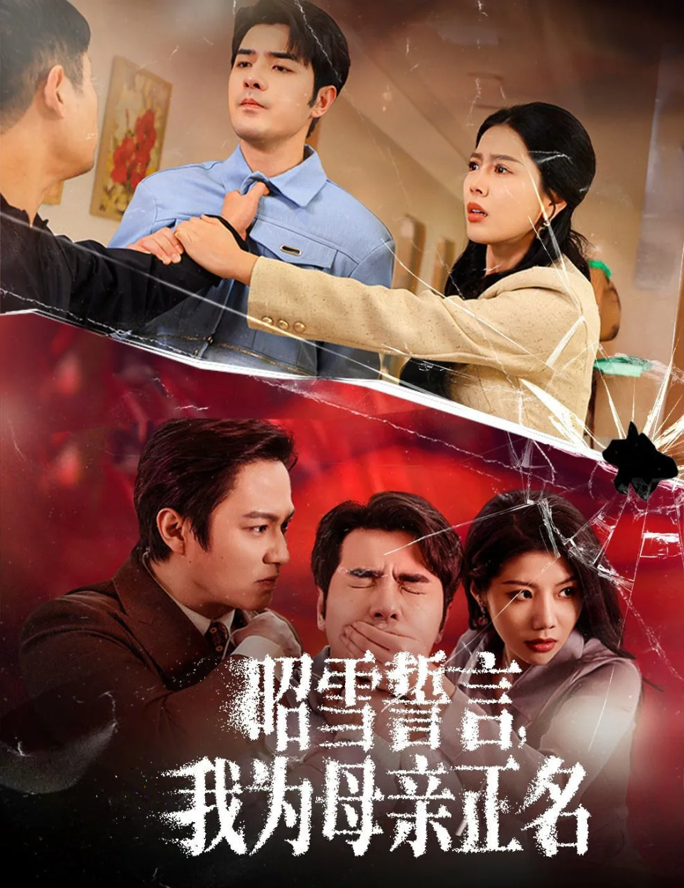 昭雪誓言我为母亲正名海报