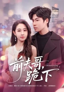 前夫哥，跪下海报