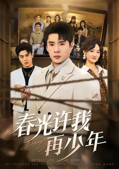 春光许我再少年海报