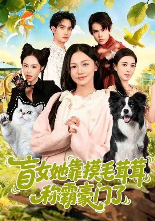 盲女她靠摸毛茸茸称霸豪门了海报