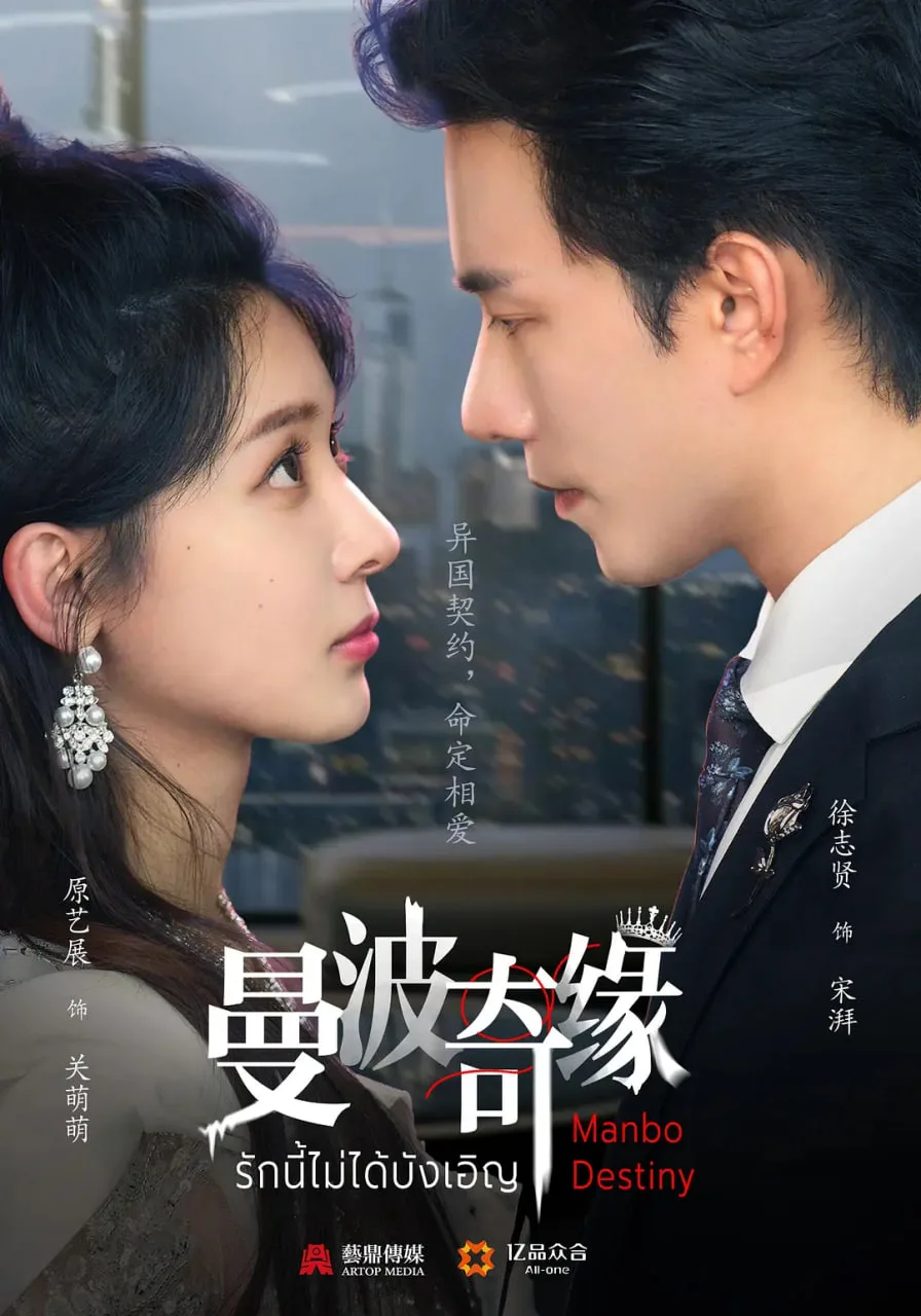 曼波奇缘海报