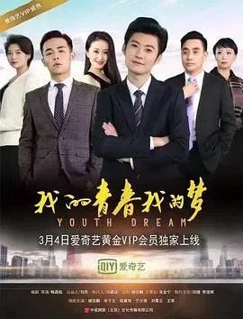 我的青春我的梦海报