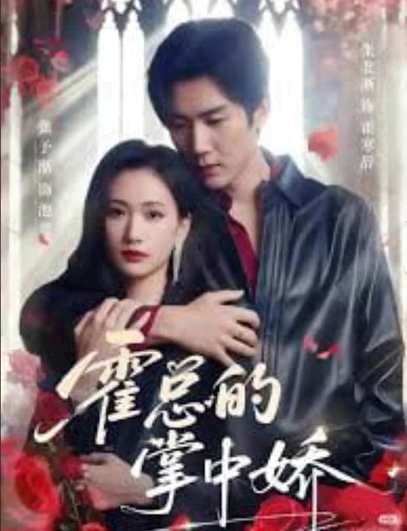 陆总的掌心娇宠海报