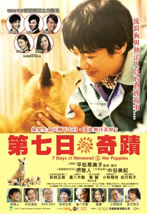 向日葵与幼犬的7天海报