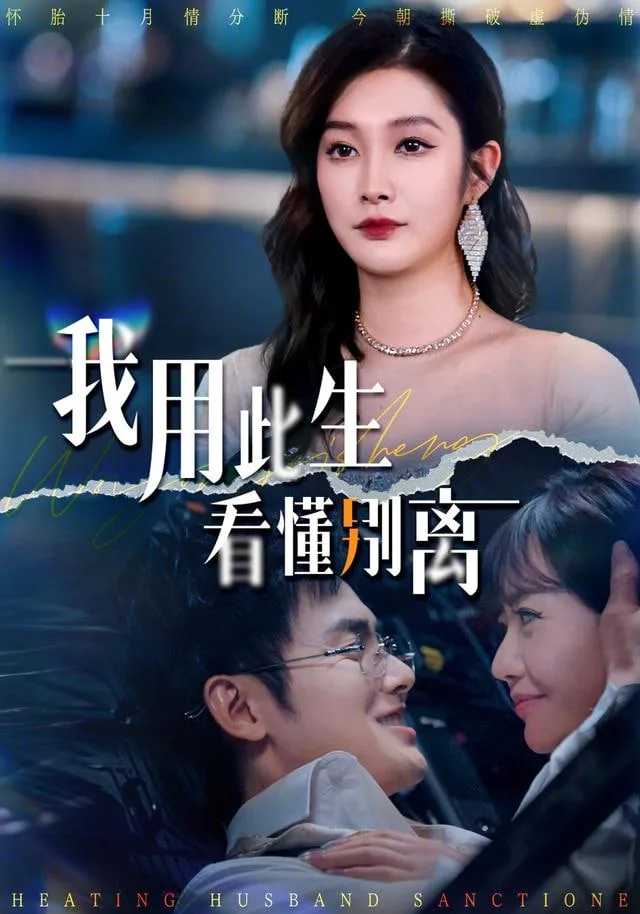我用此生看懂别离海报
