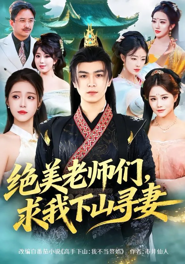 绝美老师们，求我下山寻妻海报