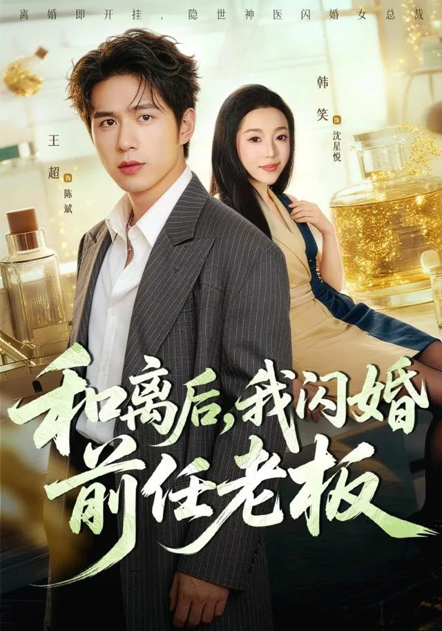 和离后，我闪婚前任老板海报