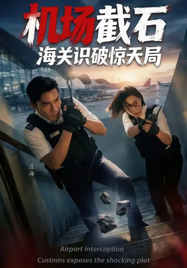 机场截石，海关识破惊天局海报