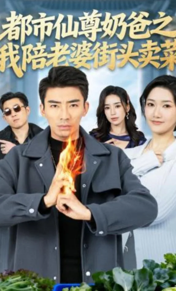 都市仙尊奶爸之我陪老婆街头卖菜海报