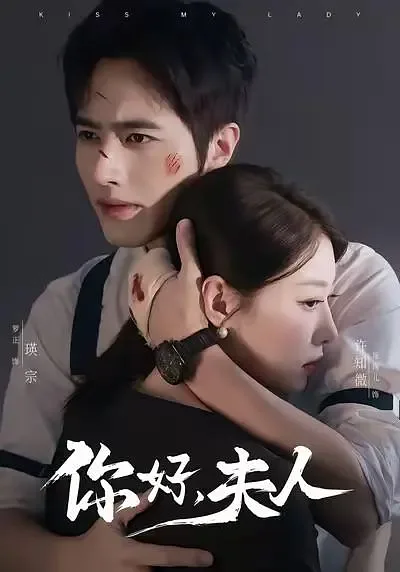 你好夫人海报