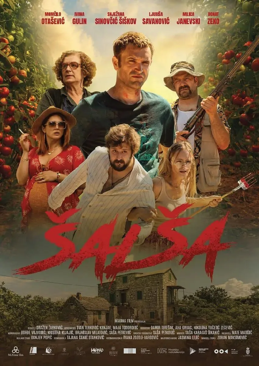 Salsa海报