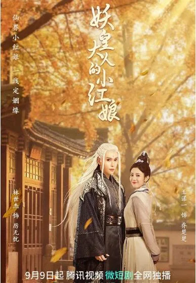 妖皇大人的小红娘海报