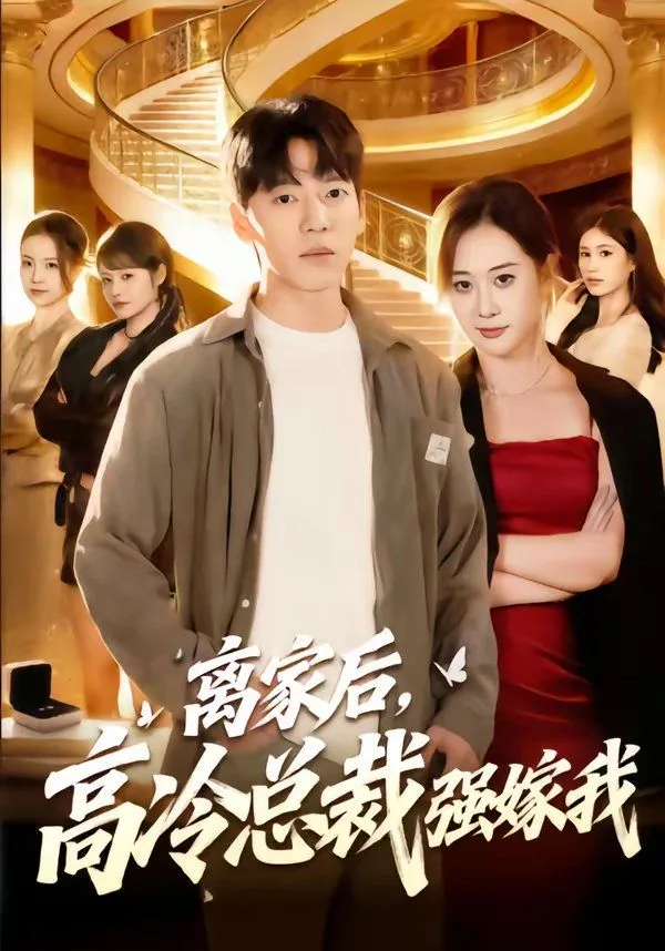离家后，高冷总裁强嫁我海报