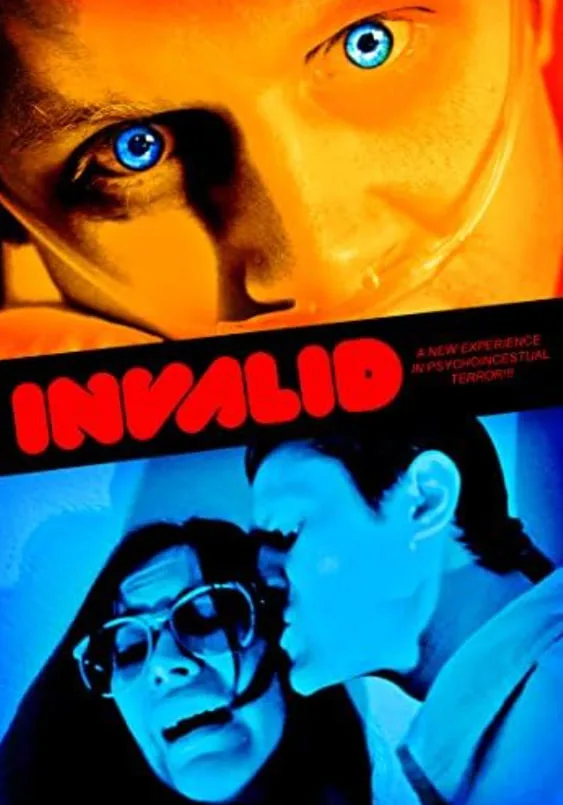 Invalid 2015海报