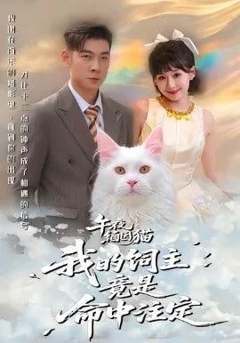 午夜缅因猫我的饲主竟是命中注定海报