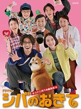 柴犬的规矩我们这群狗痴编辑部海报