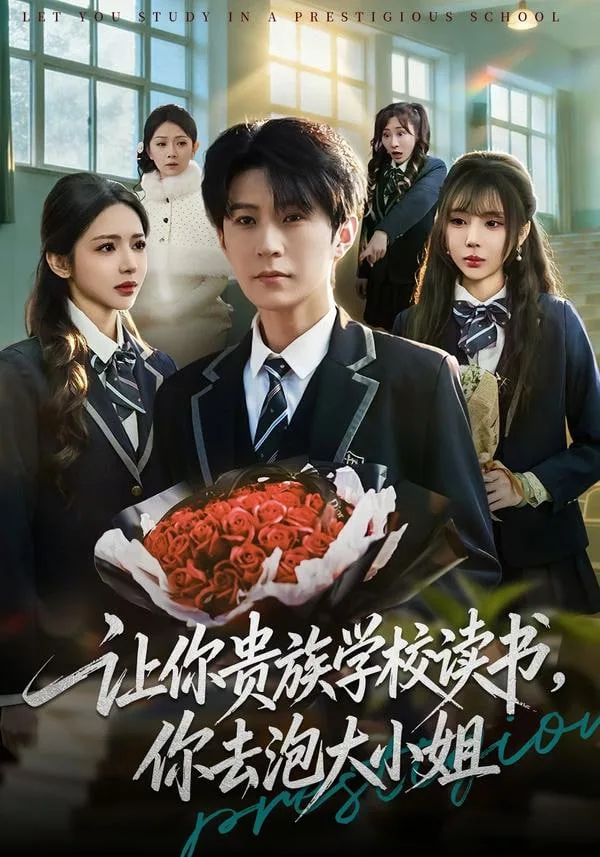让你贵族学校读书，你去泡大小姐海报