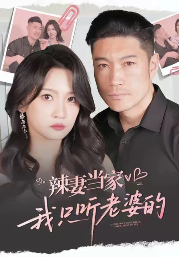 辣妻当家，我只听老婆的海报