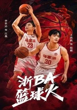 浙BA篮球火海报