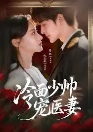 冷面少帅宠医妻海报