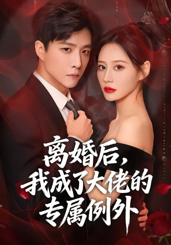 离婚后，我成了大佬的专属例外海报